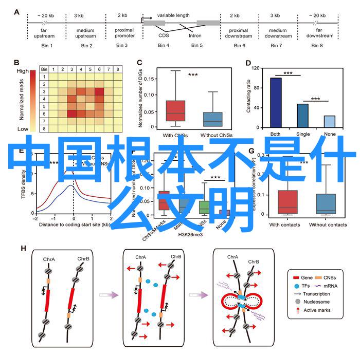 现代卷306刺杀希特勒